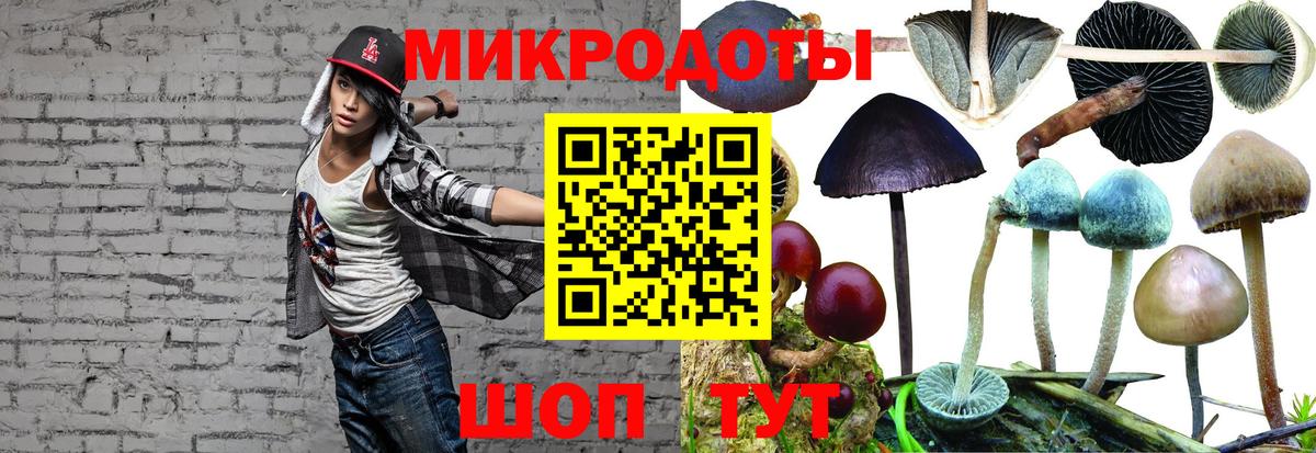Псилоцибиновые грибы GOLDEN TEACHER  купить наркоту  Рассказово  Вход с VPN 